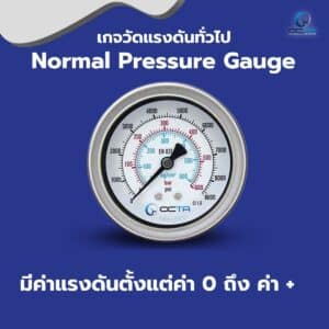 เกจวัดแรงดัน แบบ normal
