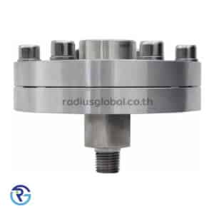 diaphragm seals ไดอะแฟรมซีล