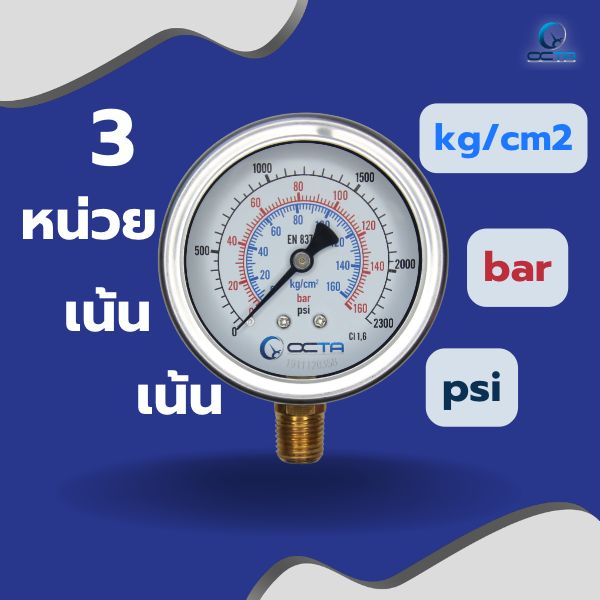 เกจวัดแรงดัน psi 3 scale